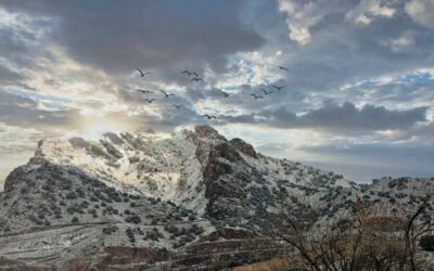 Today’s Coloradogram.